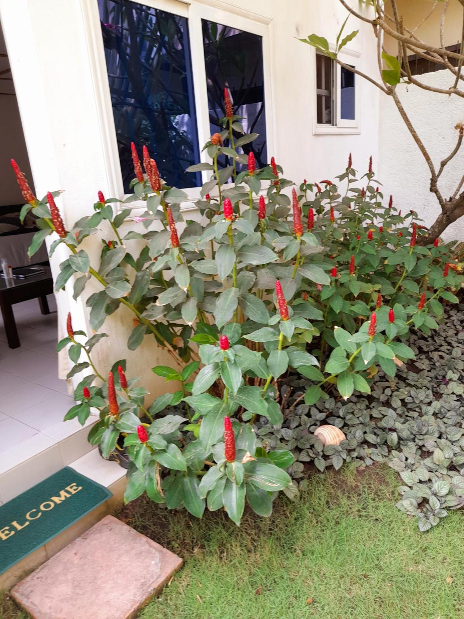 Bed and Breakfast L'Epicurien Cotonou Zimmer foto